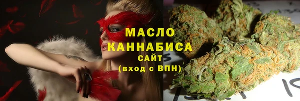 гидра Верхний Тагил