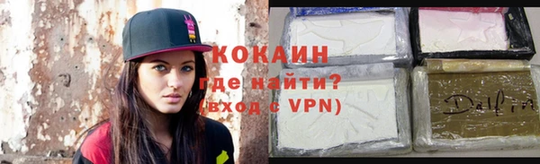 гидра Верхний Тагил