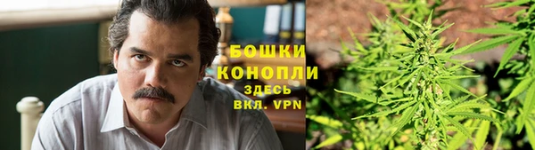 мдпв Верея