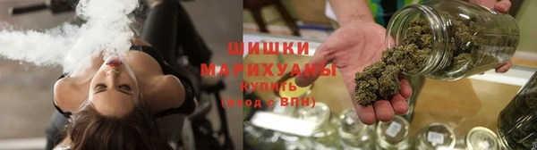 гидра Верхний Тагил