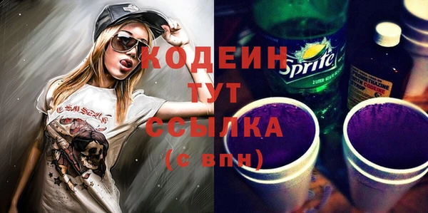 гидра Верхний Тагил
