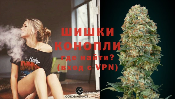 мдпв Верея