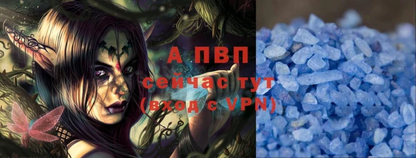 мдпв Верея