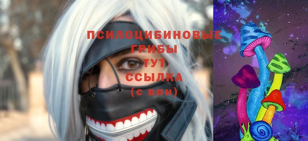 гидра Верхний Тагил