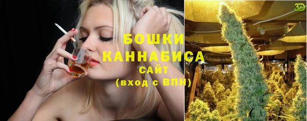 гидра Верхний Тагил
