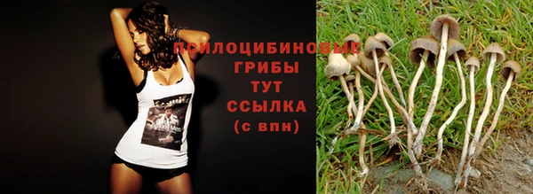 a pvp Верхнеуральск