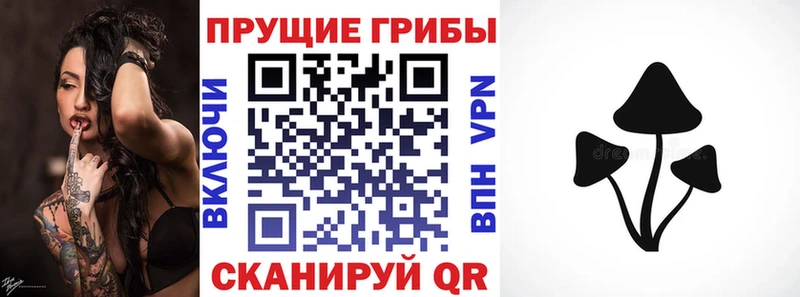 продажа наркотиков  Нижнекамск  Галлюциногенные грибы Cubensis 
