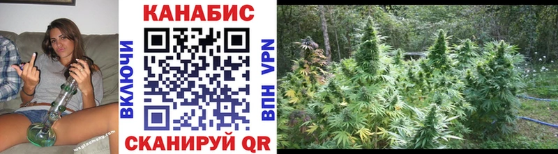 цены наркотик  Нижнекамск  Канабис ГИДРОПОН 